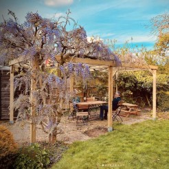 Box Pergola