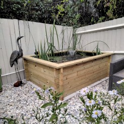 Raised Wooden Pond
