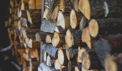 How to store logs for your home