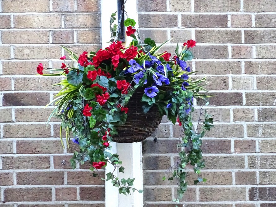 hanging-baskets