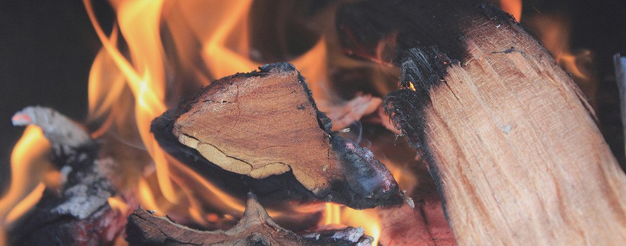 The Right Wood For Your Fire