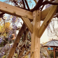 Clearance Box Pergola