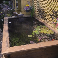Raised Wooden Pond - Rectangular - 640mm Height