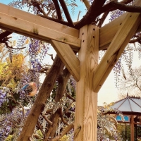 Wall Mounted Box Pergola - 1.8m Depth