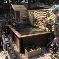 Raised Wooden Pond - Rectangular - 640mm Height